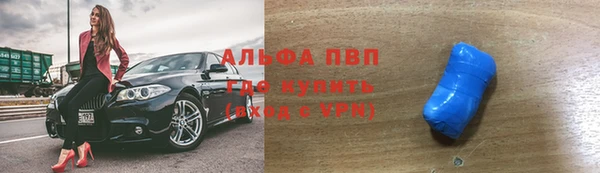 индика Богородицк
