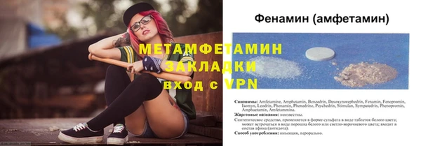 индика Богородицк