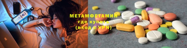 индика Богородицк