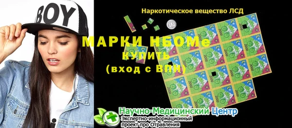 индика Богородицк