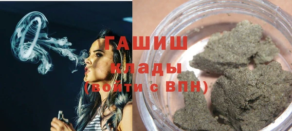 индика Богородицк