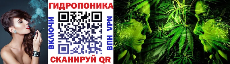 где можно купить наркотик  Кинешма  кракен tor  Шишки марихуана план 
